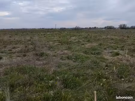 terrain 7200m2
