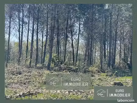terrain 55394 m² cudos