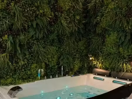 suite jacuzzi fond de commerce love room