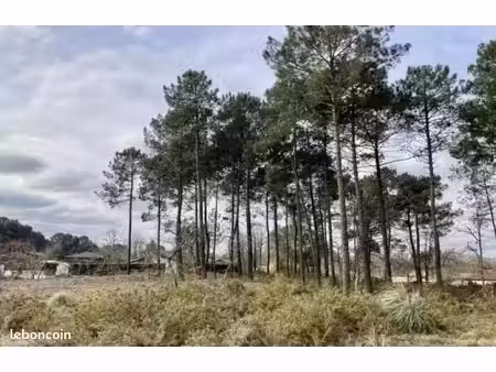 terrain à bâtir de 600 m² à brach (33)