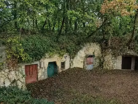 cave troglodyte avec terrain boisé 1 300 m² – benais 37140