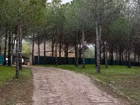 petit domaine arboré 11 ha bâtisse cadastrée