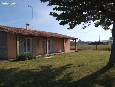 maison 120m²