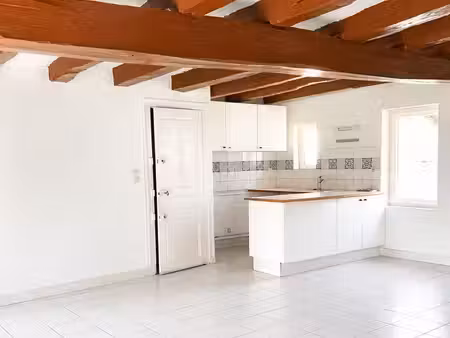 superbe duplex / vue sur loire