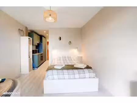 studio 25 m² rénové – vue panoramique vallée du cher – montrichard