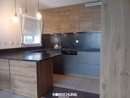 proche hirsingue : triplex avec terrasse  jardin & garage