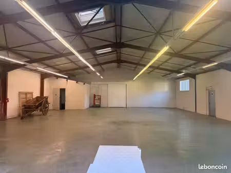 local 300 m2