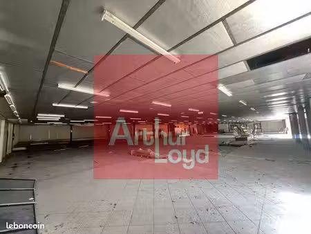 local commercial 1742 m² pujols