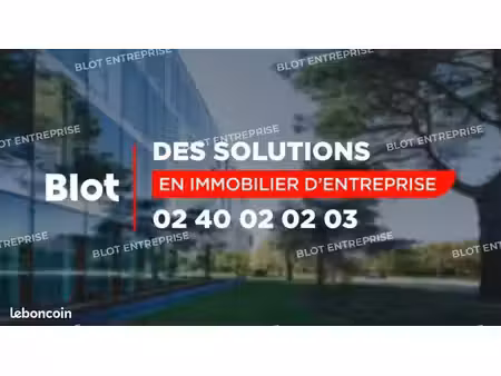 local d'activité 563 m²