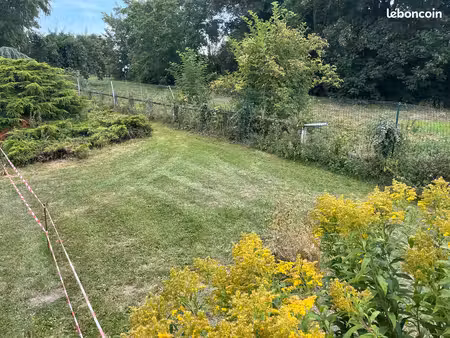 terrain constructible