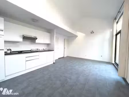 loft 3 pièces 55 m²