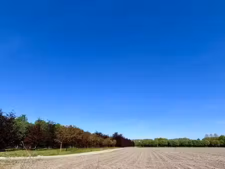 terrain 605 m² quarouble