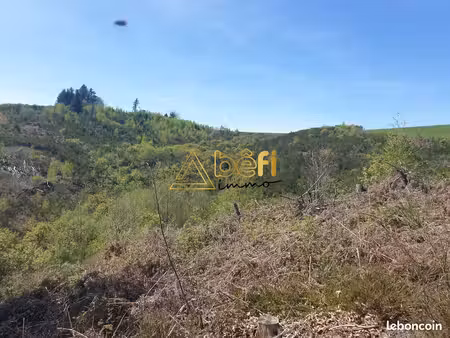 terrain 20200 m² messeix
