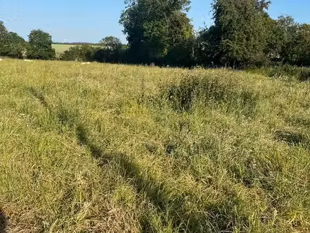 terrain à bâtir