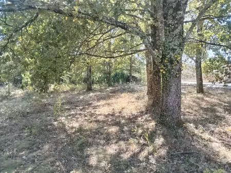 terrain à vendre - 1000 m²