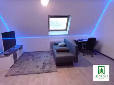 location appartement 2 pièces 44 m² à hésingue (68220)