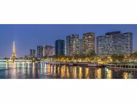 location commerce paris 75015 270m²