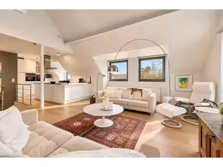 groot zonnig duplex dakappartement met drie terrassen  tw...