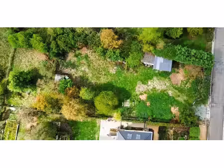 terrain