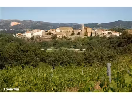 domaine viticole bio de 7 ha latour de france  à transmettre