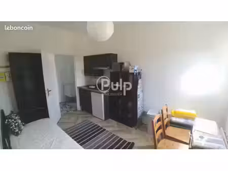 studio 1 pièce 19 m²