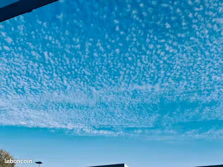 recherche maison en location