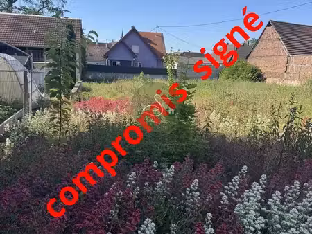 terrain 822 m² niederschaeffolsheim