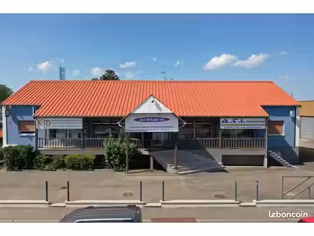 immeuble 1309 m² haguenau