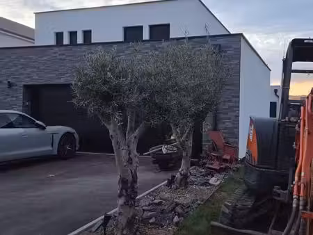 maison 260m2
