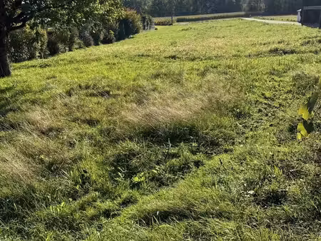 terrain 2652 m² aspach le haut