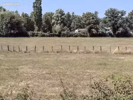 terrain 980 m² salornay sur guye