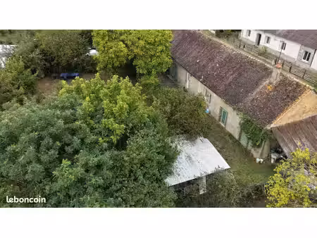 maison avec grand terrain