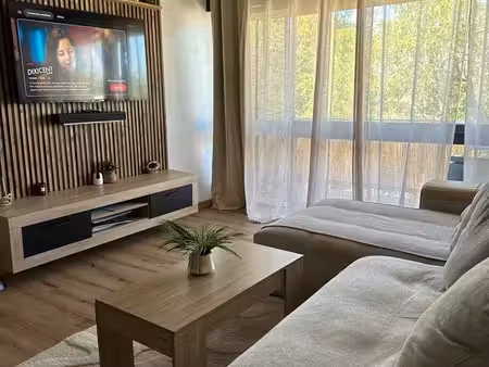 appartement t2 rénové vue sur le salève
