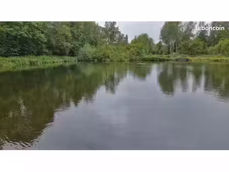 parcelle de amrais avec étang