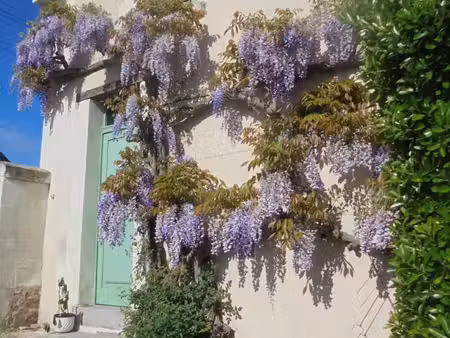 maison en tuffeau