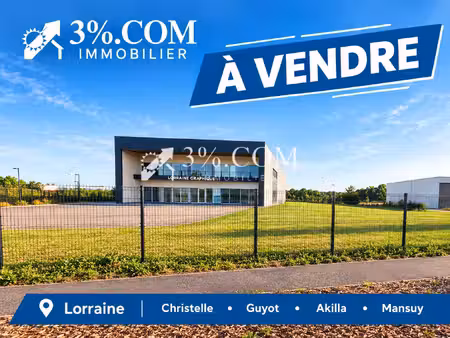 bätiment professionnel 1728 m2 sur une parcelle de 6949 m2 d