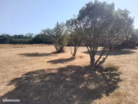 beau terrain