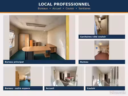 local professionnel avec bureaux  atelier et dépôt