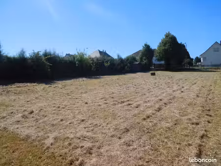 terrain constructible