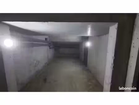 cave a louer 23m2 - lyon montchat
