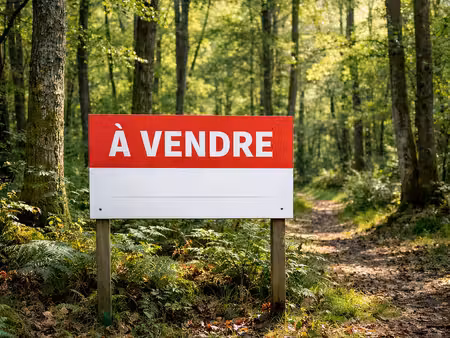 terrain chatillon sur cher 965 m2