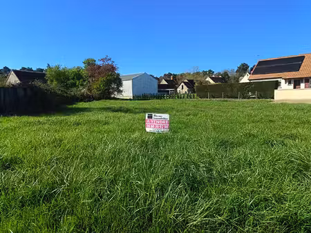 terrain constructible