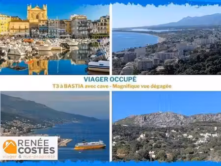 viager occupé - h74 ans - bastia (20200)