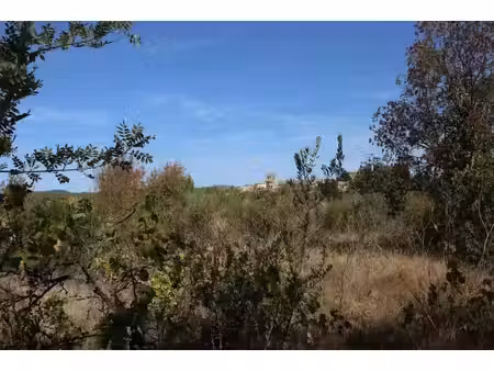 terrain