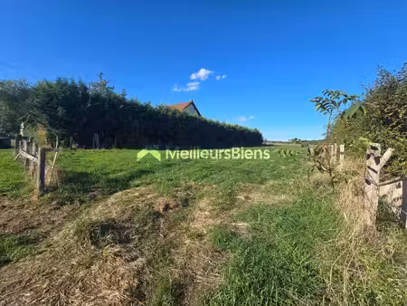 terrain avec belle surface plane