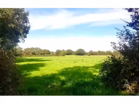 vente terrain de loisirs  8100.00m²  montaigu
