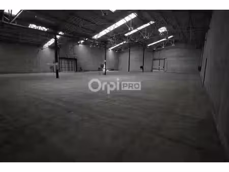 vente local d’activités selongey 21260 9900m²