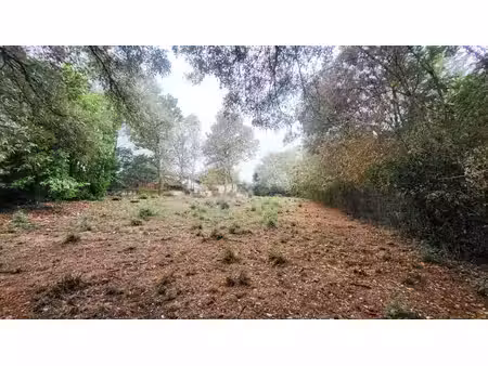 achat terrain 1 091m² pin balma 31130
