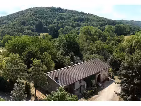 maison de caractère en pierre avec dépendances et 4104 m² de terrain attenant - germagnat 