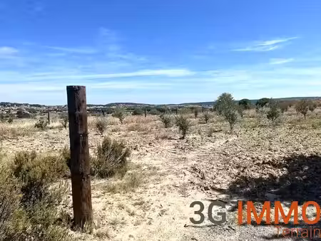 vente terrain 3341 m² à lespignan (34710)  19 900 €